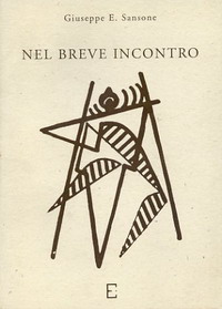 NEL BREVE INCONTRO - Giuseppe E. Sansone
